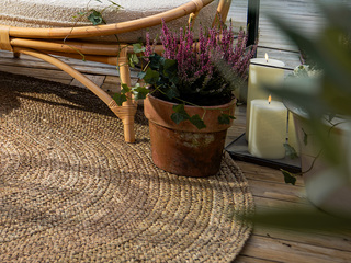 Amara Rug